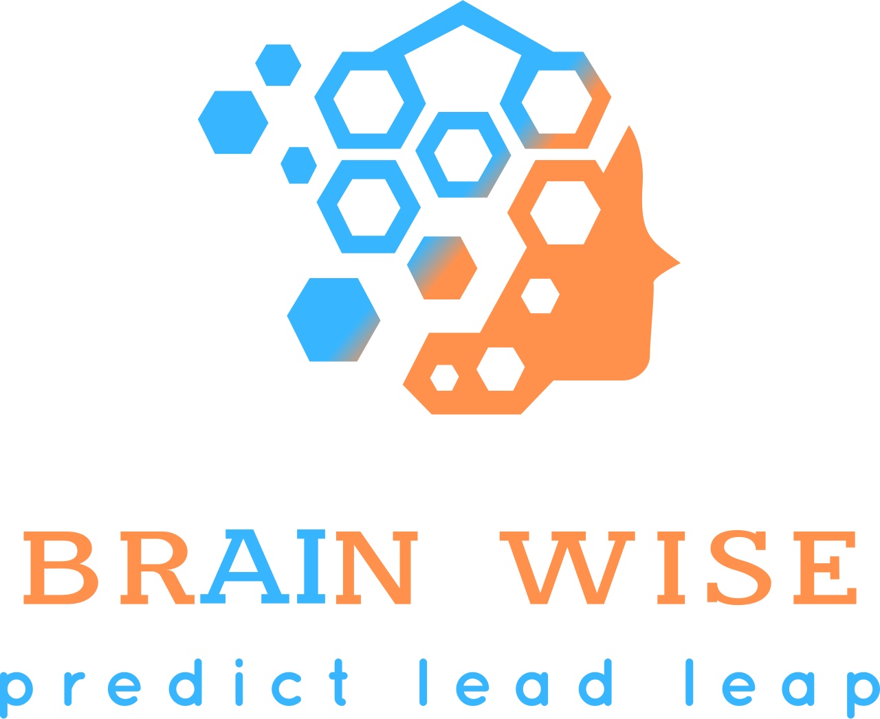 BrainWise Logo
